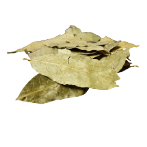 image_not_found
